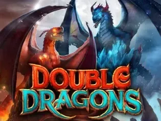 Double Dragons screenshot