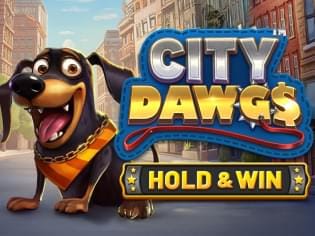 City Dawgs - Hold & Win screenshot